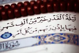 تصاویر هوایی از حرم امام رضا(ع) در شب قدر