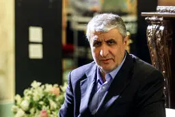ساخت راکتور هسته‌ای در شیراز به روایت رئیس‌ سازمان انرژی اتمی