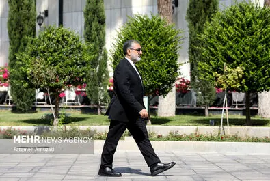 حاشیه جلسه هیئت دولت