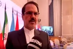 رئیس سازمان بازرسی: بریکس قادر به مقابله با سیاست‌های یک‌جانبه‌گرایی آمریکا است