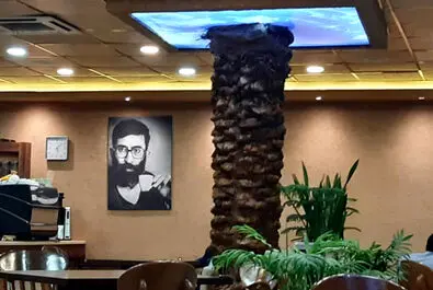 حزب اللهی ها