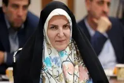 تصویب CFT بر مناسبات اقتصادی به روایت مشاور رئیس‌جمهور