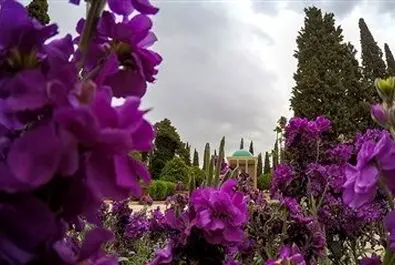 سعدی شیرازی