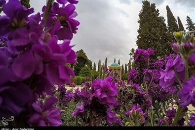 سعدی شیرازی