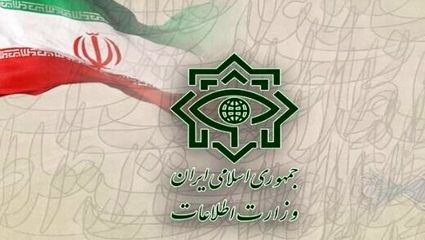 وزارت اطلاعات:مواد سمی در مدارس کشور پخش نشده