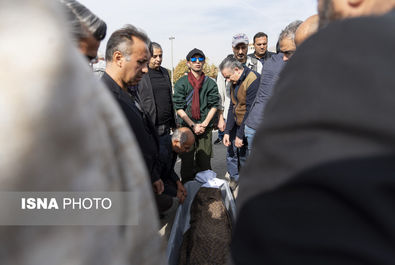 همایون ارشادی