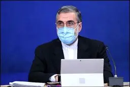 توضیح اسماعیلی درباره ماجرای پرحاشیه؛ کمیته مولدسازی از منزه‌ترین مقامات کشور هستند