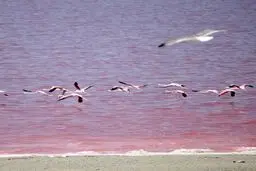 لحظه دیدنی خروج آب از سد و جریان به سمت دریاچه ارومیه