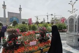 هر کس ندای تفرقه بین شیعه و سنی را سر دهد مزدور دشمن است