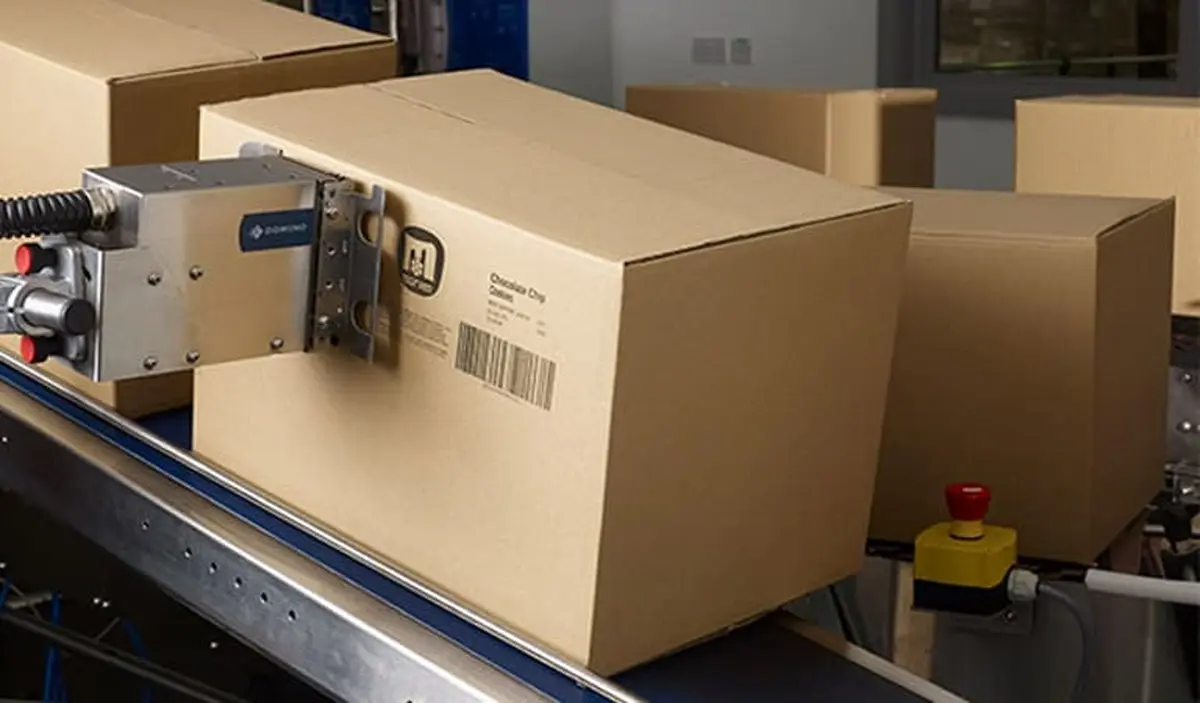 بهترین روش‌ها برای استفاده حداکثری از کدگذاری کارتن