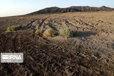 تالاب گاوخونی