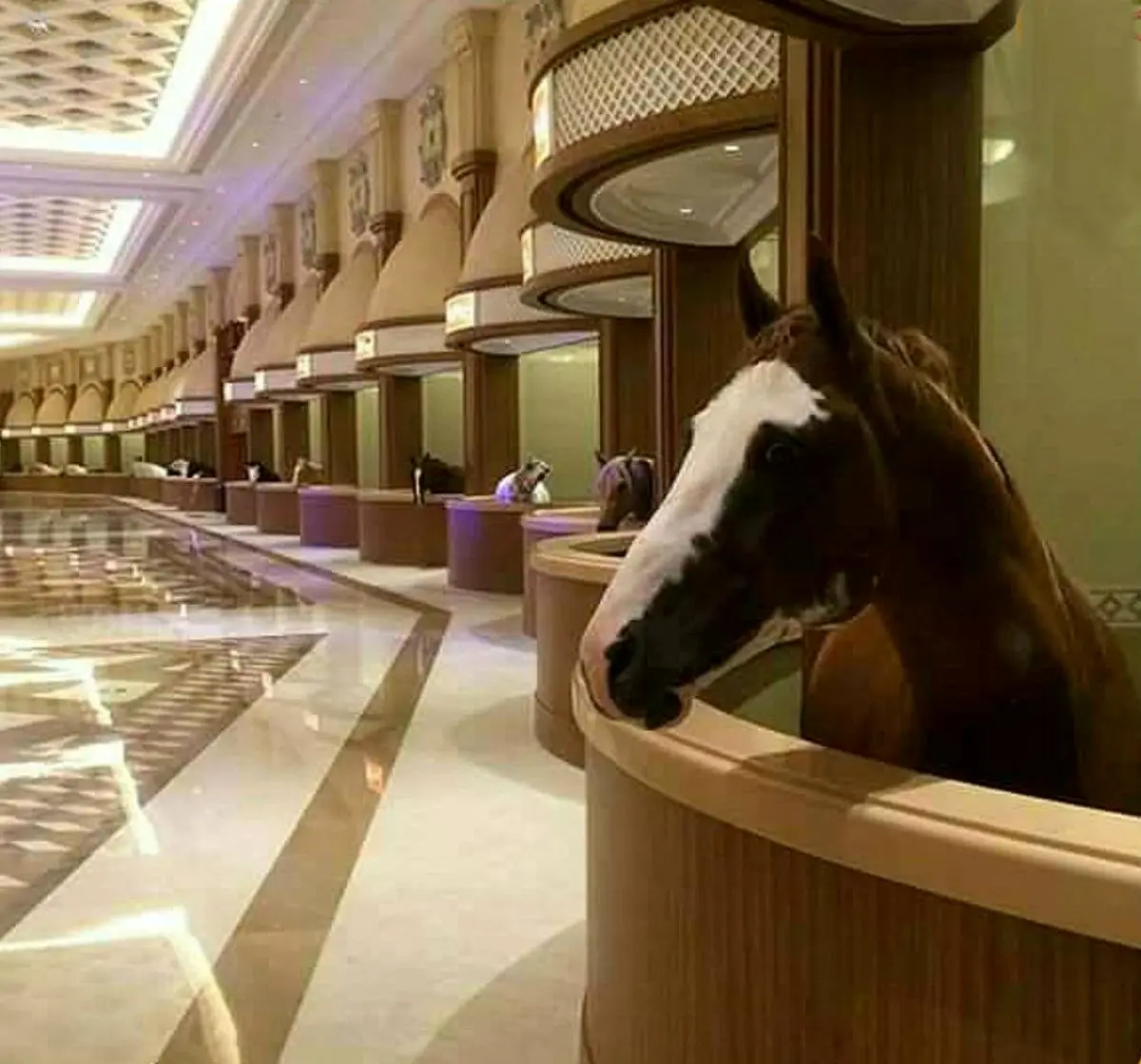 لوکس ترین اصطبل اسب جهان در دبی!