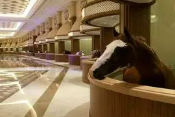 لوکس ترین اصطبل اسب جهان در دبی!