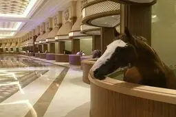 لوکس ترین اصطبل اسب جهان در دبی!