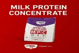 پروتئین MPC پگاه از کجا بخرم ؟ | تجربه خرید از چند فروشگاه + [قیمت بروز]