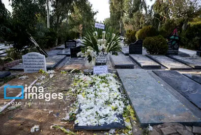 منصوره قدیری جاوید
