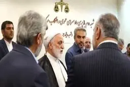 سقط جنین جنایت اعلام شد