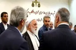 سقط جنین جنایت اعلام شد
