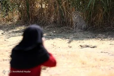پیروز