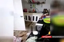 لحظه مرگ تلخ یک بانوی آشپز در برنامه زنده