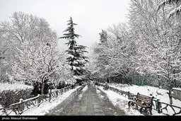 فعال شدن سامانه بارشی در تهران

