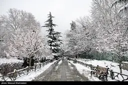 فعال شدن سامانه بارشی در تهران

