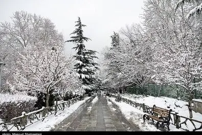 برف