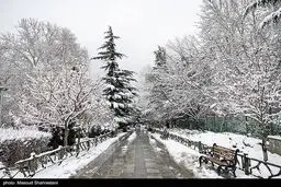 فعال شدن سامانه بارشی در تهران

