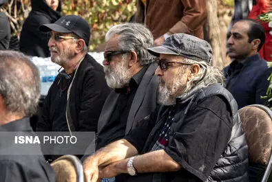 همایون ارشادی