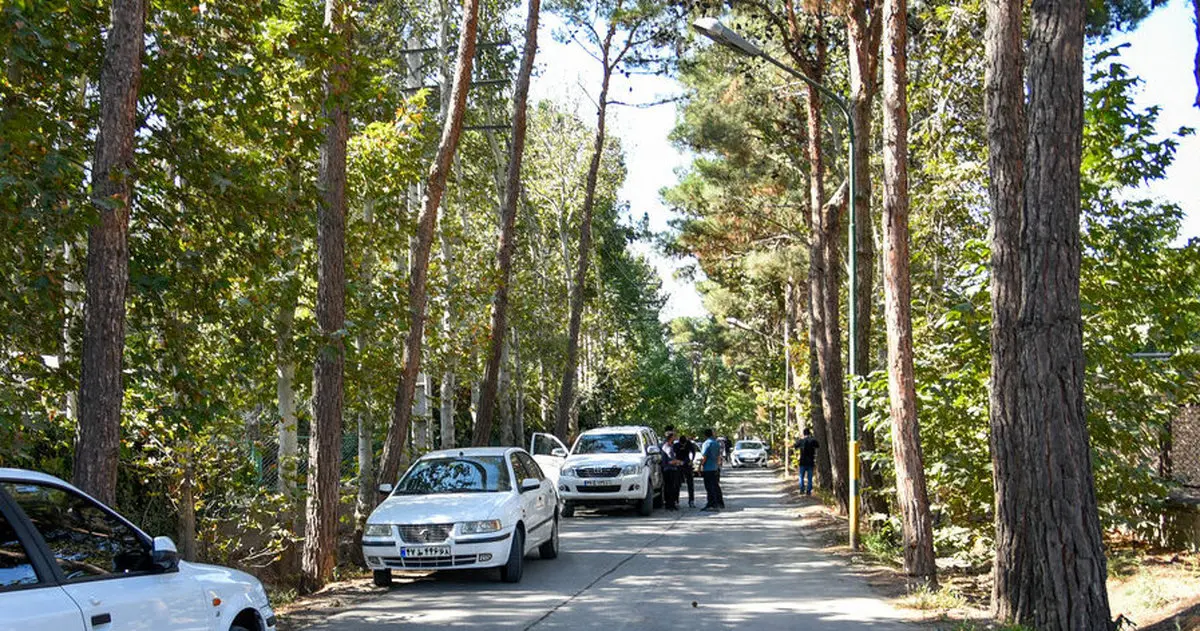 ببینید بازسازی صحنه قتل مهرجویی با حضور قاتل