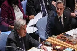 بلینکن و گوترش درباره عدم تجدید توافق غلات دریای سیاه تلفنی صحبت کردند