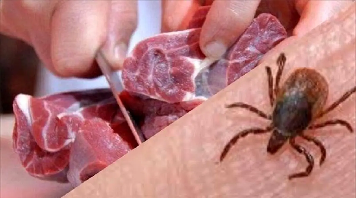 هشدار؛ انتقال بیماری "تب‌ کریمه‌کنگو" در عید قربان/ ۸ نفر قربانی تا امروز!