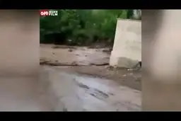 فرار مردم کرمان از سیل هولناک به پشت بام‌ها