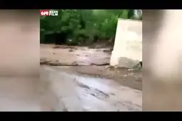 فرار مردم کرمان از سیل هولناک به پشت بام‌ها