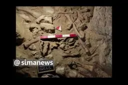 کشف جمجمه و استخوان‌های ۹ انسان نخستین (نئاندرتال) در رم