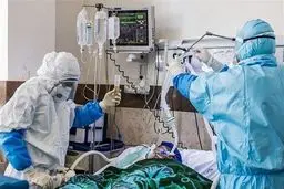 آخرین آمار قربانیان ویروس کرونا در ایران 12 مرداد