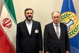 دیدار غریب آبادی با رئیس سازمان منع گسترش سلاح‌های شیمیایی