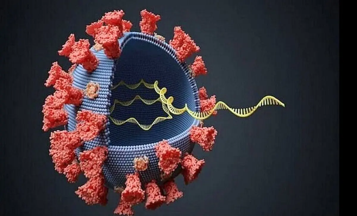 نشانه‌های اصلی کرونای دلتا 
