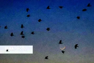 استهلال
