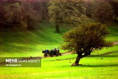 عکاسی آنالوگ