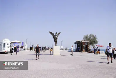 جزیره کیش