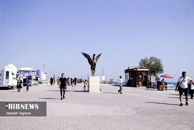 جزیره کیش