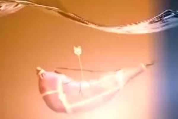 روز هفتم محرم،|روضه حضرت علی‌اصغر(ع)