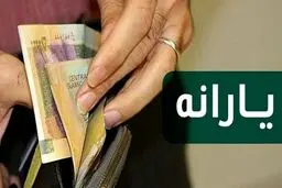 واریز یارانه جدید بحساب این افراد | شرایط دریافت یارانه جدید