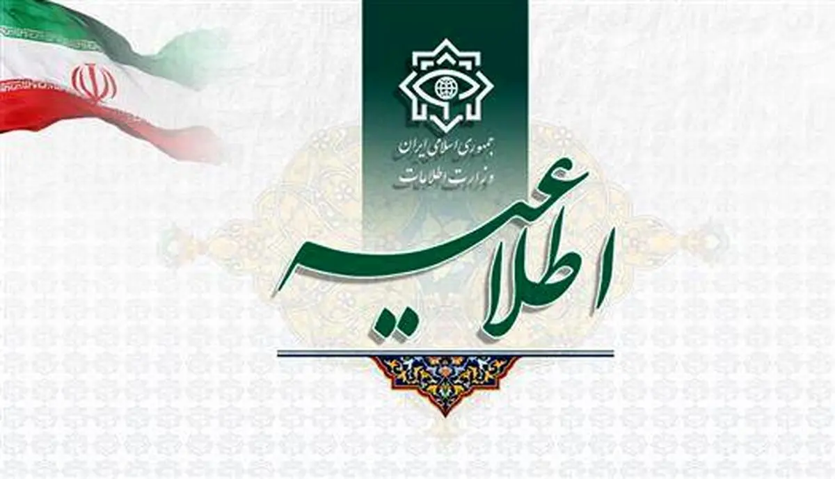 بازداشت یک تبعه‌ سوئدی به اتهام جاسوسی + جزئیات