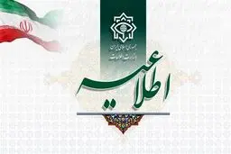 بازداشت یک تبعه‌ سوئدی به اتهام جاسوسی + جزئیات