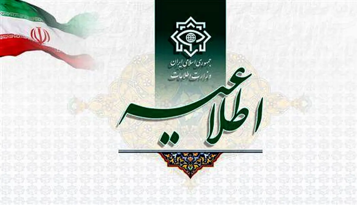 بازداشت یک تبعه‌ سوئدی به اتهام جاسوسی + جزئیات