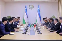 جزئیات دیدار عارف با یک وزیر خارجه ازبکستان