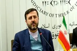 غریب‌آبادی: مردم آمریکا وقتی توسط پلیس بازداشت می‌شوند، از جان خود می‌ترسند
