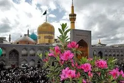  آماده‌سازی هفت سین در حرم رضوی